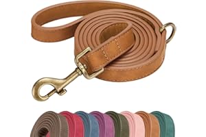 Didog Stylish PU Leather Dog Leash for Medium Dogs, Easy to Clean 5ft Dog Leashes for Large Dogs, Fashionable and Elegant for Walking, Running and Training,Light Brown, M