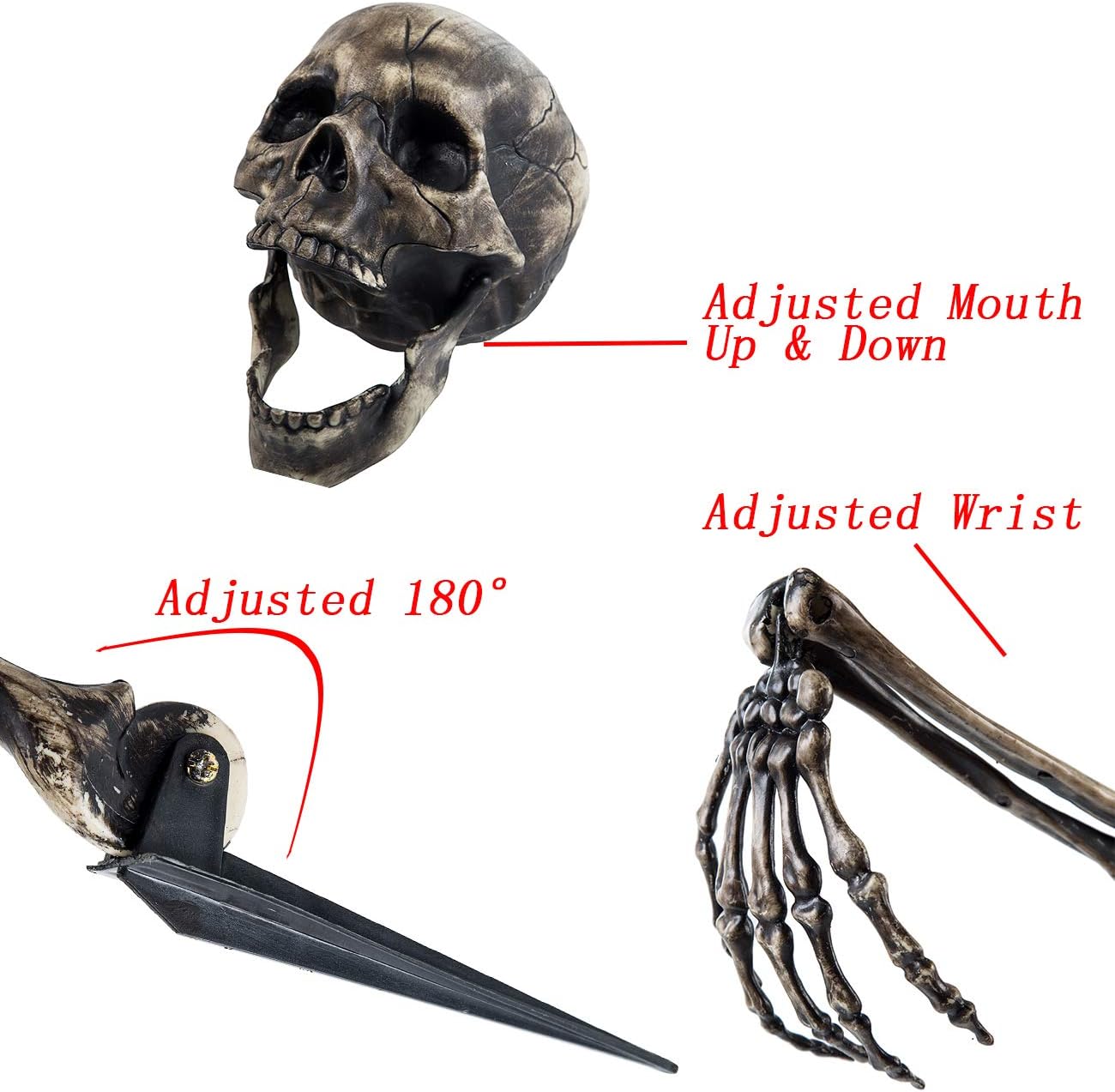 Sunnyglade Realistic Skeleton Stakes Halloween Decoration Scary Ground Breaker Skull and Skeleton for Outdoor Yard Lawn Stake Garden Graveyard Decoration: Garden & Outdoor