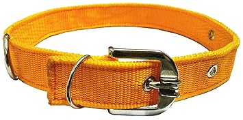 MUNCHOS 0.5 inchi Dog Collar for Puppies (Colour May Vary)