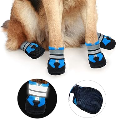 padded dog boots