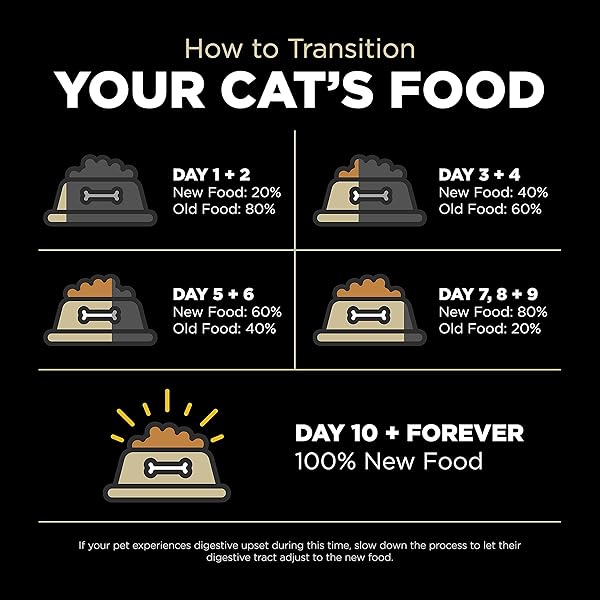 GO! SOLUTIONS CARNIVORE GRAIN FREE DRY CAT FOOD, 16 LB – LAMB + WILD BOAR RECIPE – PROTEIN RICH DRY CAT FOOD – COMPLETE + BALANCED NUTRITION FOR ALL LIFE STAGES