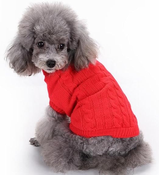 bichon frise clothes