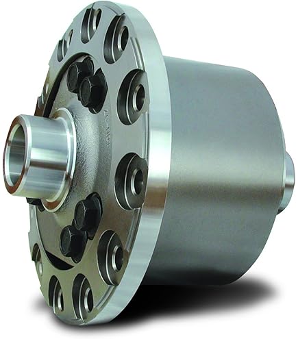 Amazon.com: Eaton 913A541 Detroit Truetrac 8.4