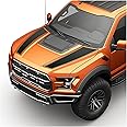 BENINI DESIGN STUDIO Hood Blackout Racing Stripes Vinyl Decal Sticker Kit- Compatible with Ford F150 Raptor 2014-2020 (Style 2, Matte Black)
