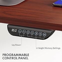 FLEXISPOT E6 Dual Motor 3 Stages Standing Desk