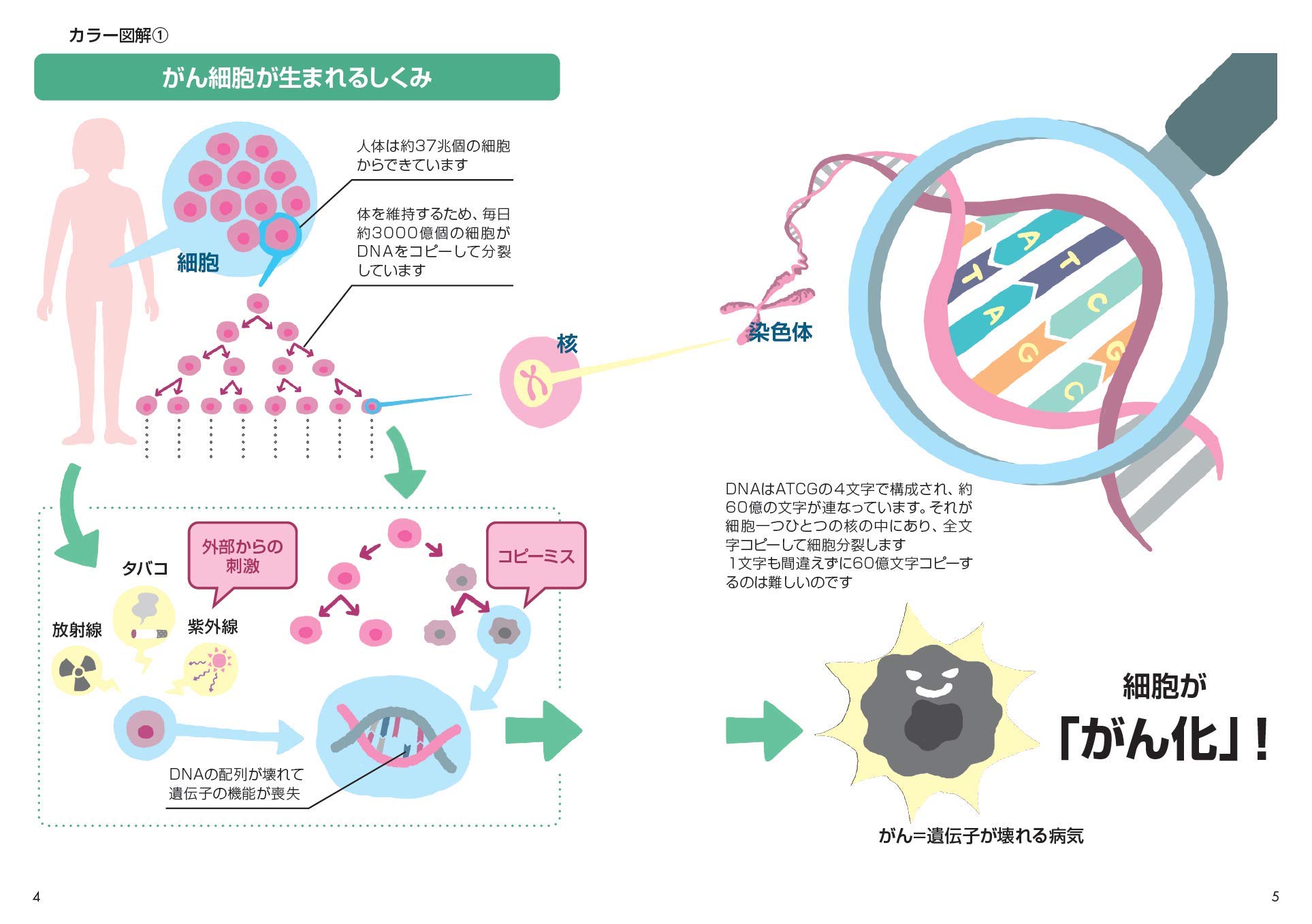 図解 最先端医療 がん遺伝子治療のことがわかる本 石田 幸弘 遺伝子治療研究会 本 通販 Amazon