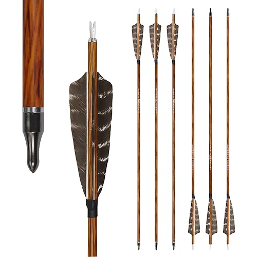 Archery Accessories Black Hunter Recurve Bow Pure Carbon Arrows 30 Inch 600 Spine Turkey Feather Fletching Screw-in Hunting Arrows Arrows For Recurve Bow