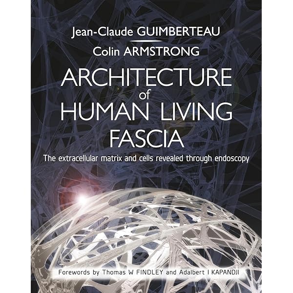 Fascia: The Tensional Network of the Human Body: The science