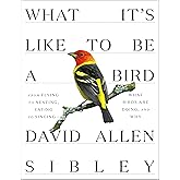 What It's Like to Be a Bird: From Flying to Nesting, Eating to Singing--What Birds Are Doing, and Why (Sibley Guides)