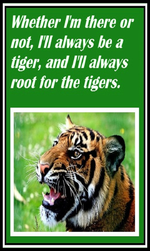 Amazon.com: Inspirational Tiger Quotes: Appstore for Android