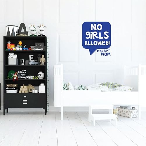 Boys Fun Bedroom Decor