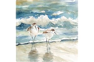 Fine Art Canvas Beach Birds Canvas Wall Decor by Artist Carol Robinson for Living Room, Bedroom, Bathroom, Kitchen, Office, Bar, Dining & Guest Room - Ready to Hang - 22 in x 22 in