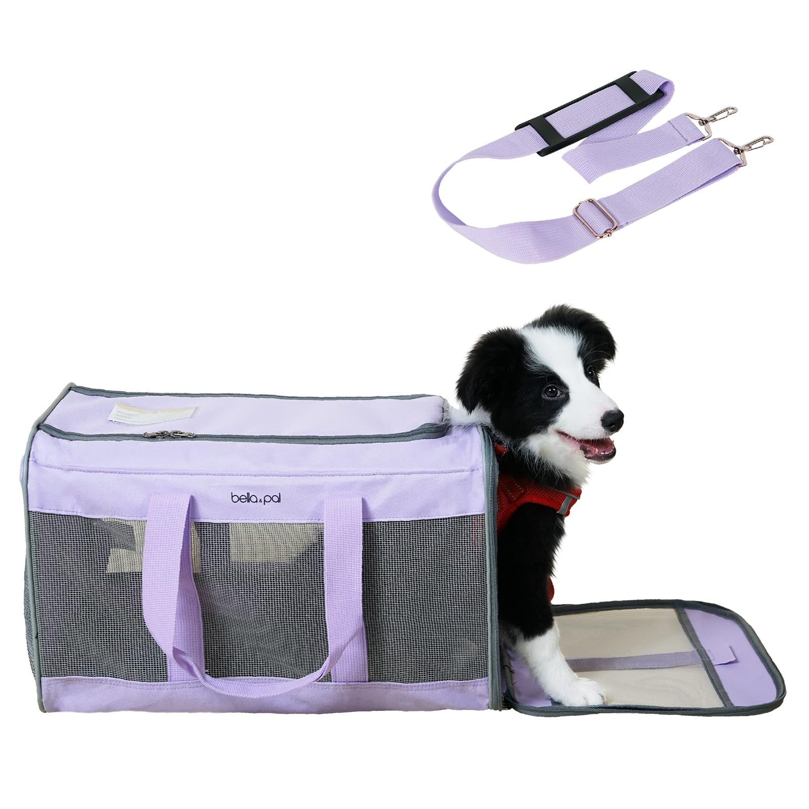 BELLA & PAL Cat Carrier, Foldable Pet Travel Carrier for Cats & Small Dogs, Scratch-Resistant Mesh | Escape-Proof Zipper | Adjustable Shoulder Strap | Removable Mat, L (Ideal for Cars, Travel & Vets)
