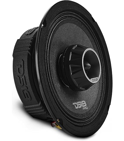 Amazon.com: DS18 ZXI-654 6.5