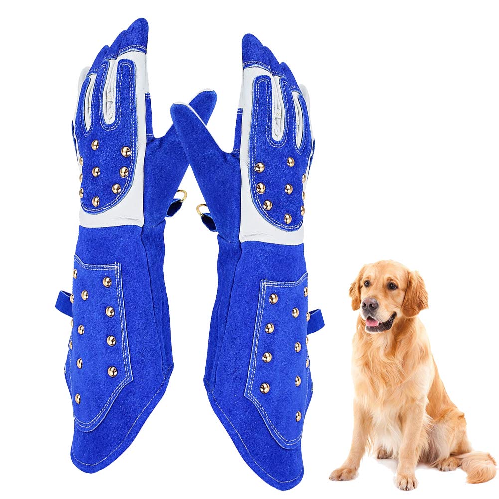 dog training gloves