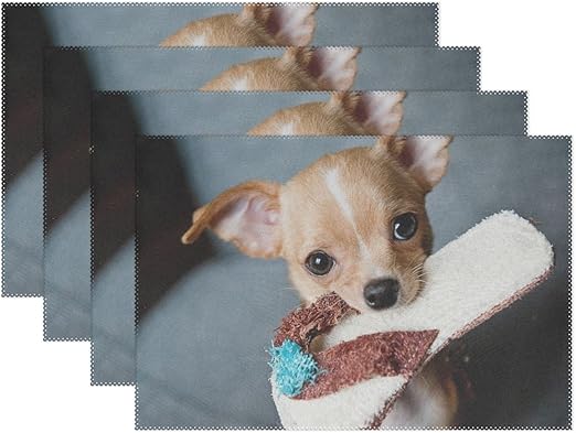 chihuahua heating pad