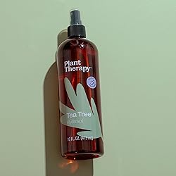 Plant Therapy Tea Tree (Melaleuca) Hydrosol 16 oz
