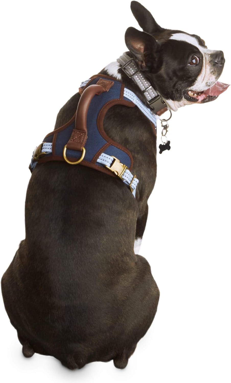 aquarium decorations online