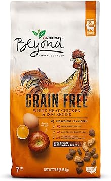 beyond dry dog food
