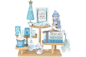 SYNCVIBE Winter Decoration for Home 8 PCS Tiered Tray Decor Set, Cute Christmas Blue Winter Wonderland Decor for Home Tray Shelf Fireplace Mantel Office Desk Indoor Snowman New Year Holiday Decorations Set