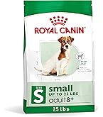 Amazon.com: Royal Canin Size Health Nutrition Small Indoor Adult