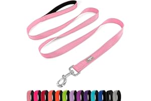 PenSeepet Dog Leash 6 FT Padded Handle Nylon Reflective Dogs Leashes for Medium Dogs Pink
