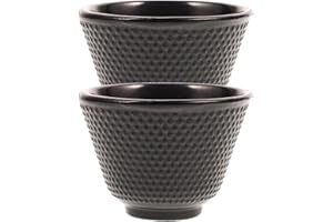 Zerodeko 2pcs Japanese Tea Cups Black Iron Tea Cups Chinese Kung Fu Cup Enamel Coated Interior Teaware Blossom Teacup