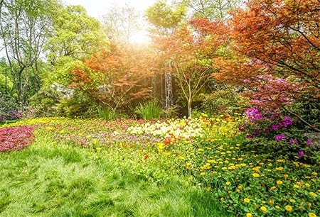 Amazon Csfoto 5x3フィート 背景 美しい自然の景色 写真 背景 花 太陽の光 森 滝 花 レジャー バケーション リゾート 写真スタジオ 小道具 ポリエステル 壁紙 バックペーパー 背景布 通販