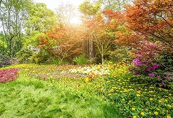 Amazoncom Csfoto 5x3ft Background Beautiful Natural