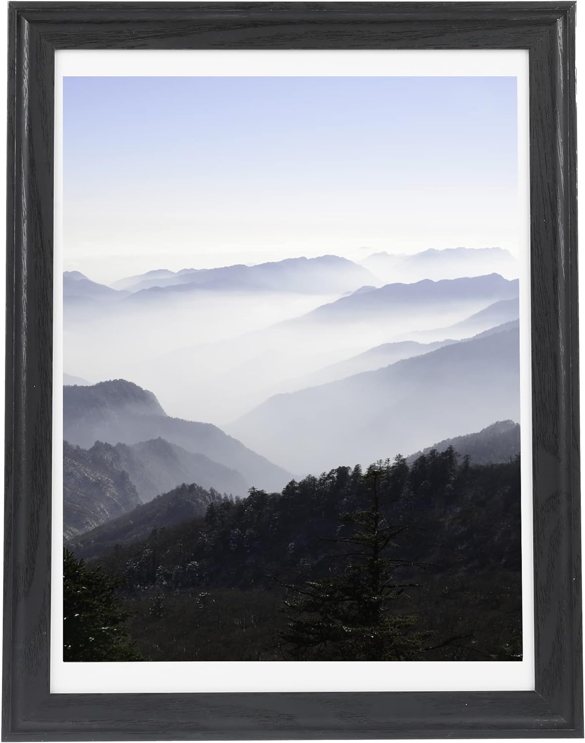 Photo Albums, Frames & Accessories - Medog 12x16 Picture Frame Made of Solid Wood Set of 1 Display Pictures 11x14 with or Without Mat, Arc Ultra Wide Edge Wooden Black Poster Wall Gallery(FMJ)