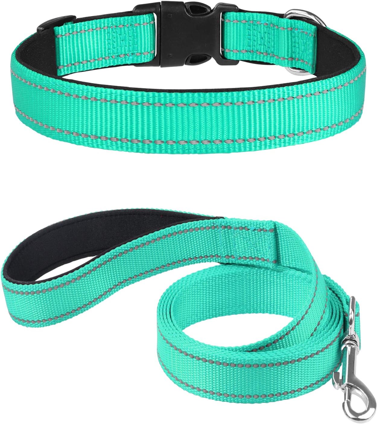 Joytale 8 12 inches Dog Collar and 6FT Leash, Reflective