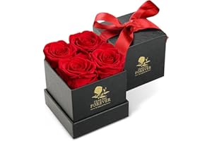 WILDLOVE Forever Flowers Fresh Bouquet, 4-Piece Red Roses in a Box, Preserved Flowers for Mom Wife Girlfriend, I Love You Gifts for Her, Anniversary Birthday Gifts for Women