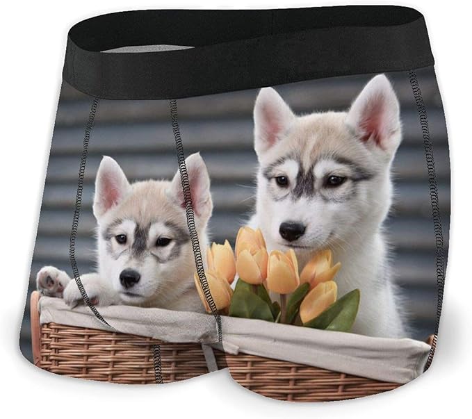 Little Husky Underwear for Men Comfortable Boxer Briefs with Elastic