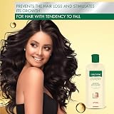 GEROVITAL Anti Hair Loss Shampoo 400ml - Stimulates Growth, Strengthens Roots view 2