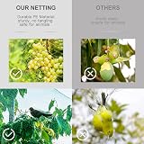 lohey Garden Netting Mesh 4M x 12M Cat Bird Proof Fine Nylon Green view 5
