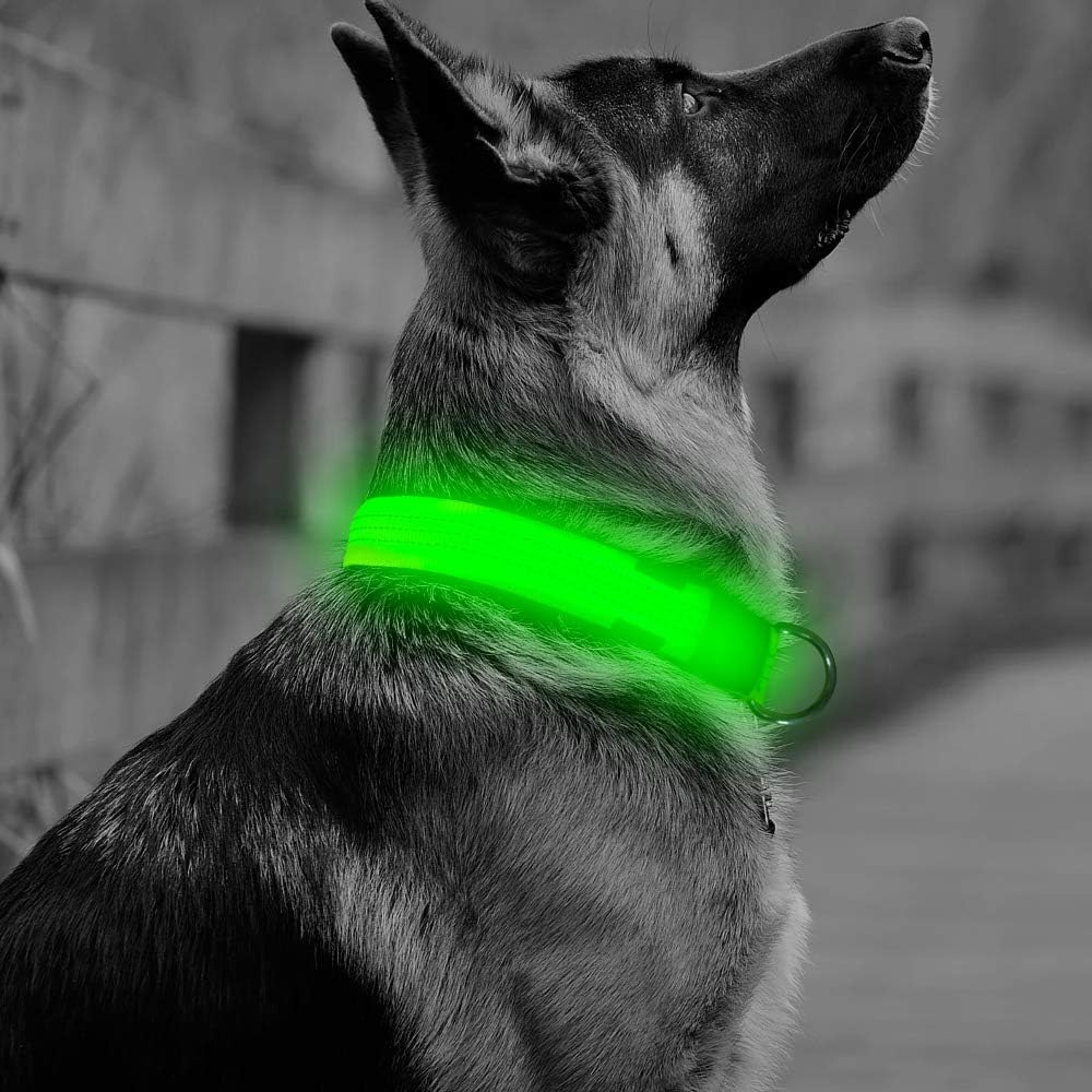 petsafe collar blinking