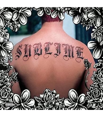 71O5lRkZURL._AC_UL495_SR435,