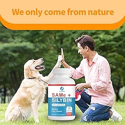 Same and Silybin for Dogs
