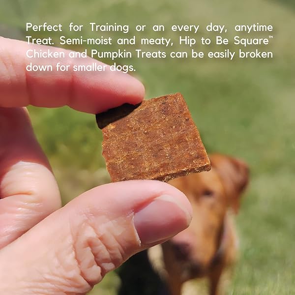 LUCY PET HIP TO BE SQUARE CHICKEN AND PUMPKIN DOG TREATS 6OZ