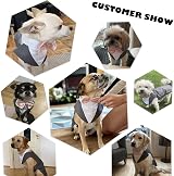 PUMYPOREITY Dog Tuxedo Set with Bandana Small Medium Large Grey S view 7