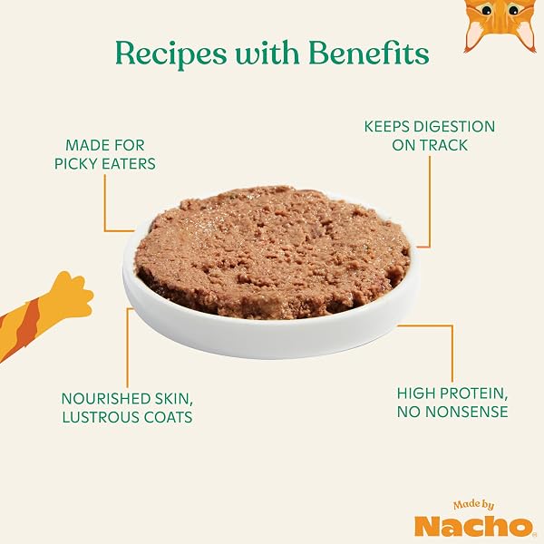 MADE BY NACHO PREMIUM WET CAT FOOD GRAIN-FREE PATE CANS (CHICKEN, SALMON, TURKEY AND KITTEN) (CHICKEN AND HERRING – 24 PACK, 5.5 OUNCE)