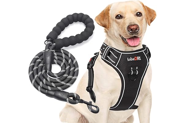 amazon k9 harness