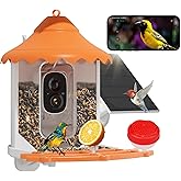 Hiseeu Bird Feeder with Camera, 2.5L Large Capacity, AI Identify 11000+ Birds Species, Solar Powered, Auto Capture Bird Videos & Motion Detection, Smart Bird Watching Camera Wireless Outdoor