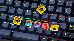 Mistel BAROCCO MD770 RGB Wireless Split Mechanical