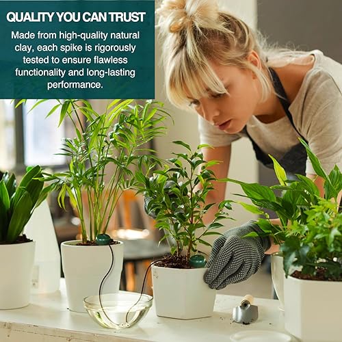 Blumat Classic Self-Watering Stakes - Prevents Overwatering and  Underwatering for Healthy Growth While You are Away - Ideal for Indoor Plant  Watering, 6 Pack, wo Adapter in Dubai - UAE | Whizz Drippers