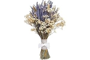 Dried Lavenders Bouquets Natural Dry Baby ' s Breath Flowers Height 17.7Inch for Wedding Party Decoration Home Decoration Art
