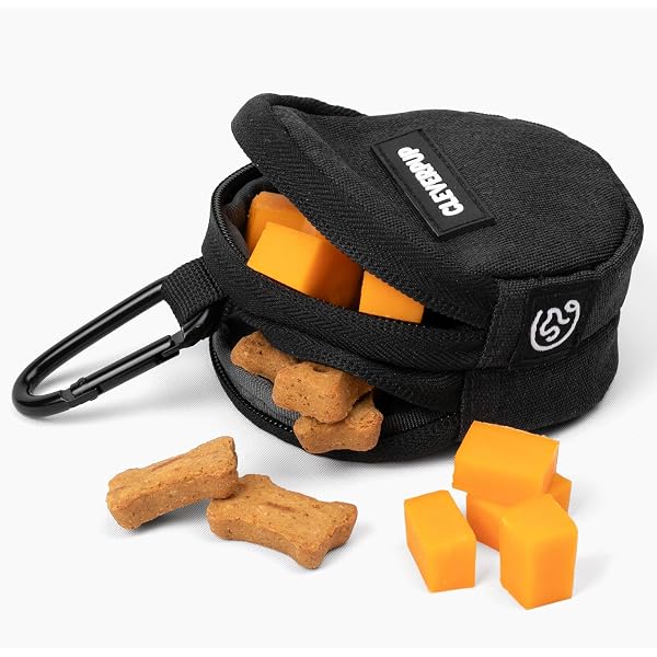 Amazon.com: Cleverpup Porter 2-in-1 Dog Gear Backpack – Premium