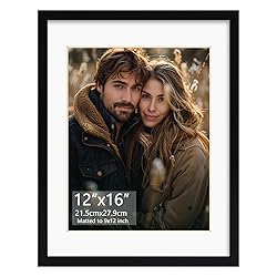 Rempry 12x16 Picture Frame, Display Poster 9x12