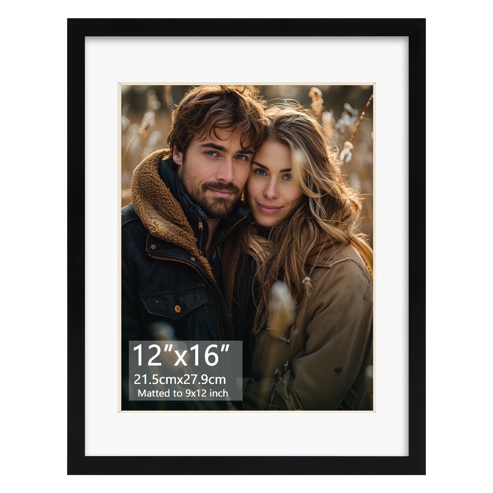 Rempry 12x16 Picture Frame, Display Poster 9x12