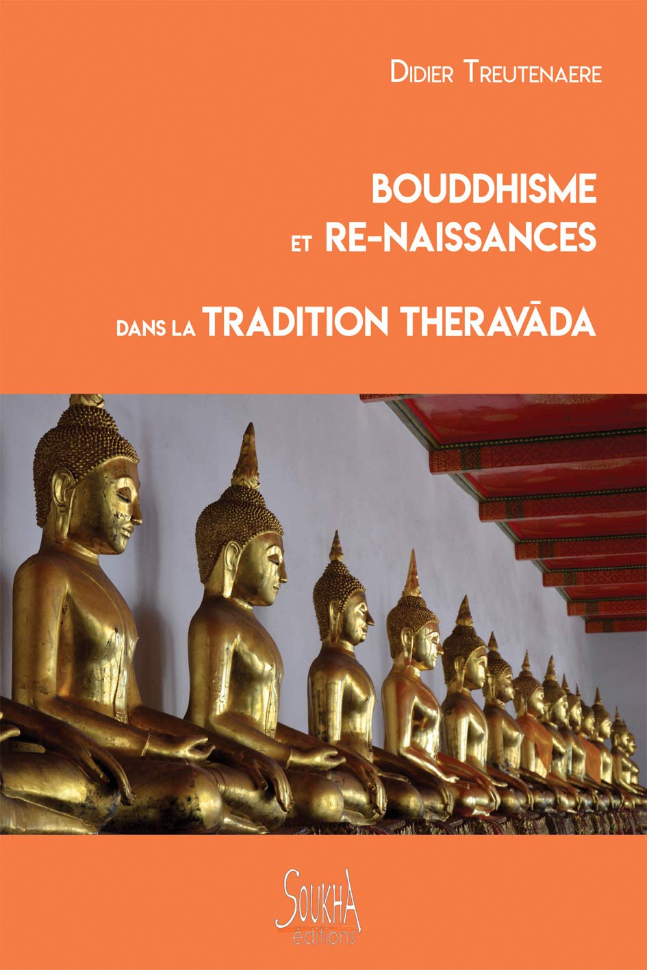 Amazon Fr Bouddhisme Et Re Naissances Dans La Tradition Theravada Treutenaere Didier Livres